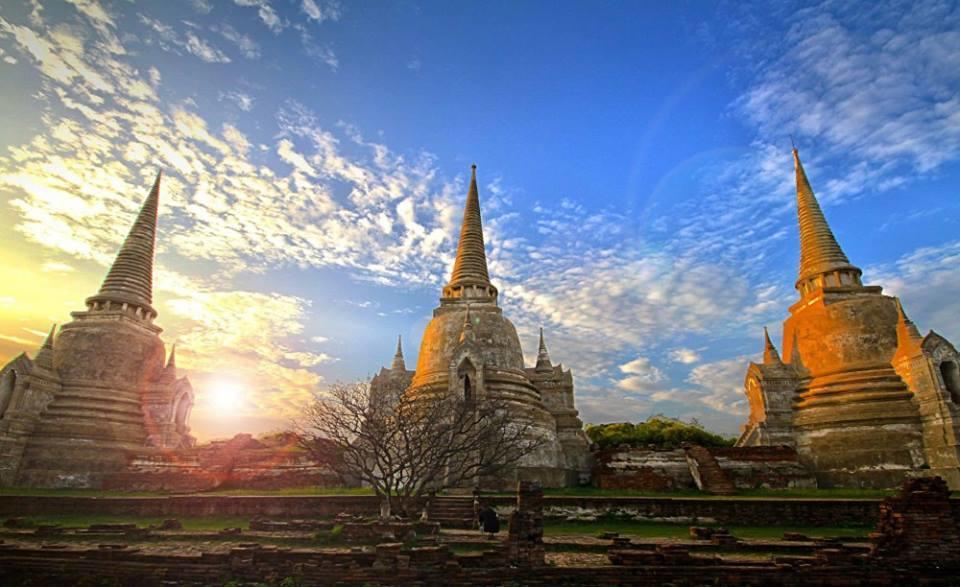 Slow Tree Ayutthaya Экстерьер фото